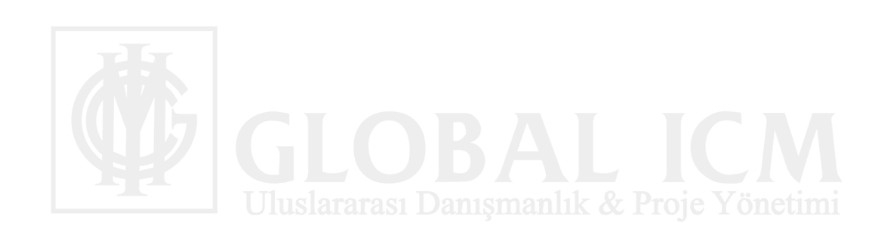 GLOBAL ICM